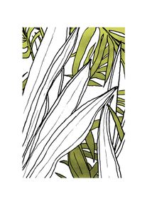 Bild Komar "Bleached Leaves", gr&uuml;n (farbe bild(er): gr&uuml;n, wei&szlig;), B:30cm H:40cm, Holz, Papier, Bilder, Bild, Wandbild zur Dekoration - ohne Rahmen