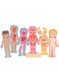 Konturenpuzzle HAPE "Menschlicher K&ouml;rper", bunt, Puzzles, KinderB:29,2cm T:4,2cm, Holz, Metall, Papier, Konturenpuzzle, B:29,2cm T:4,2cm