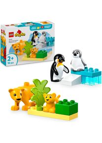 Konstruktionsspielsteine Lego "Wildtier-Familien: Pinguine und L&ouml;wen (10442), Lego DUPLO Town", bunt, Spielbausteine, Kinder, Kunststoff, Konstruktionsspielsteine, Made in Europe