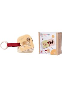 Kinderbuch Eichhorn "Montessori Bilderbuch", bunt, B&uuml;cher, Kinder, Kinderbuch