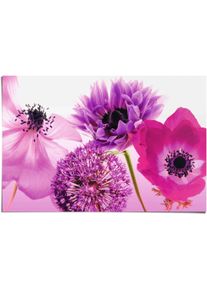 Poster Reinders "Lila Sommer", lila (farbe bild(er): lila), B:91,5cm H:61cm, Papier, Bilder, Poster