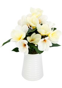 Kunstblume I.GE.A. "Frangipani in Vase aus Keramik", beige (creme), B:25cm H:35cm L:20cm, Polyester, Kunstpflanzen, Kunstblume