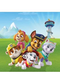 Leinwandbild B&Ouml;NNINGHOFF "Paw Patrol", bunt (farbe rahmen: kein rahmen, farbe bild(er): gr&uuml;n, rot, blau, wei&szlig;), B:35cm H:35cm T:1,8cm, Canvas, Bilder, Leinwandbild, BxH: 35x35 cm