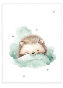 Babydecke Baby Best "babybest Kleiner Igel", bunt, B:75cm L:100cm, Polyester, Wohndecken, Babydecke, niedliches Motiv