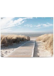 Poster REINDERS "D&uuml;nen", beige (farbe bild(er): beige), B:80cm H:60cm T:0,1cm, Leinwand, Bilder, Poster