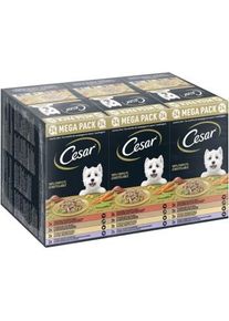 CESAR Multipack rago&ucirc;t de campagne 24 x 150 g