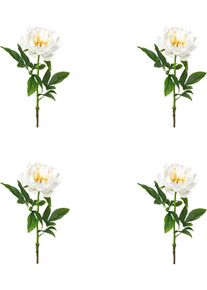 Kunstblume Creativ green "Peonie", wei&szlig;, H:51cm, Obermaterial: 80% Polyester, 20% Polyethylen, Kunstpflanzen, Kunstblume
