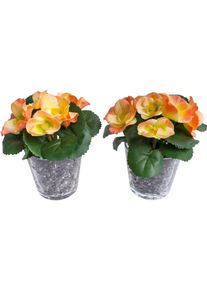 Kunstblume BOTANIC-HAUS "Fr&uuml;hlingsblume", bunt (lachs, gelb), B:14cm H:14cm T:14cm &Oslash;:14cm, Kunststoff, Kunstpflanzen, Kunstblume