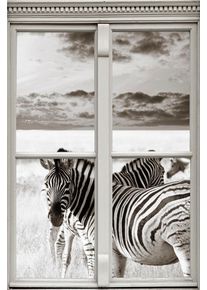 Wandsticker queence "Zebras", grau, B:40cm H:60cm T:0,1cm, Wandtattoos, Wandsticker, Wandsticker, Wandbild, selbstklebend, 3D, Fenster