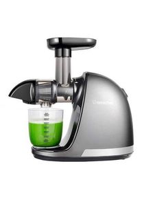 AMZCHEF Slow Juicer 1501-GA (Grey)