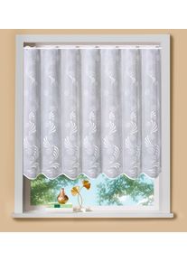 Scheibengardine Stickereien Plauen "Scheibengardine Modena", wei&szlig;, B:210cm H:120cm, Polyester, Polyester, Gardinen, Scheibengardine, echte Plauener Stickerei