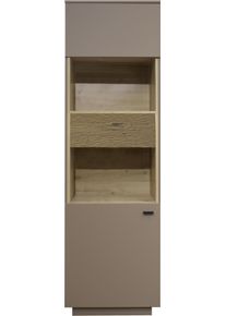 M&auml;usbacher Standvitrine M&Auml;USBACHER, taupe matt lack nb, eiche massiv geschruppt, B:60cm H:196cm T:45cm, Holzwerkstoff, Schr&auml;nke, Standvitrine, Standvitrine, BHT 60/196/45 cm, inkl. Griffbeleuchtung, T&uuml;rd&auml;mpfung