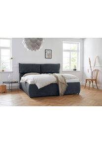 Polsterbett OTTO HOME "Jenson", blau (dunkelblau), B:208cm L:225cm, Struktur weich (85% Polyester/15% Nylon), Betten, Polsterbett, als Bettgestell oder mit 3 Matratzenarten und H&auml;rtegraden