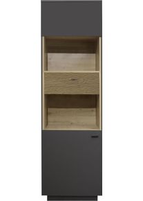 M&auml;usbacher Standvitrine M&Auml;USBACHER, anthrazit matt lack nb, eiche massiv geschruppt, B:60cm H:196cm T:45cm, Holzwerkstoff, Schr&auml;nke, Standvitrine, Standvitrine, BHT 60/196/45 cm, inkl. Griffbeleuchtung, T&uuml;rd&auml;mpfung