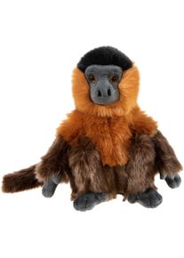 Kuscheltier Heunec "Bedrohte Tiere, Kapuzineraffe 24 cm", braun, Pl&uuml;schfiguren, KinderH:24cm, Polyester, Kuscheltier, H:24cm