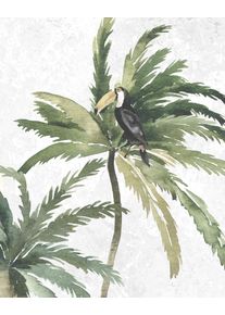 Bild Komar "Tropical Toucan", bunt (farbe bild(er): bunt), B:40cm H:50cm, Holz, Papier, Bilder, Bild, Wandbild zur Dekoration - ohne Rahmen