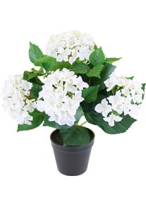 Kunstblume OTTO HOME "K&uuml;nstliche Hortensie im Topf", wei&szlig;, B:35cm H:40cm T:30cm, Kunstpflanzen, Kunstblume, 40cm Realistische Kunstpflanze Blumen Deko Blumen Pflanzen