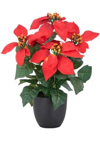 Kunstblume Creativ green "Weihnachtsstern", rot, H:23cm, Polyester, Kunstpflanzen, Kunstblume, mit &uuml;ppiger Bl&uuml;tenpracht