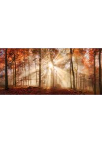 Bild B&Ouml;NNINGHOFF "HERBSTWALD XXL 90x200 cm &ndash; Leinwandbild Keilrahmen Deko modern", farbe bild(er): gelb, braun, rot, B:200cm H:90cm T:4,5cm, Canvas, MDF, Bilder, Bild