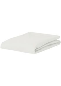 Spannbettlaken Esprit "SHEET", beige, B:200cm L:200cm, Jersey-Elasthan, Obermaterial: 95% Baumwolle, 5% Elasthan, Bettlaken, Spannbettlaken, mit Gummizug