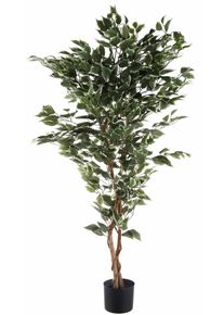 Kunstpflanze Creativ green "Ficus Benjamini", gr&uuml;n, B:10cm H:150cm, Kunststoff, Polyester, Kunstpflanzen, Kunstpflanze