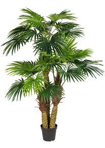 Kunstpalme Creativ green "F&auml;cherpalme", gr&uuml;n, H:185cm, Kunststoff, Kunstpflanzen, Kunstpalme