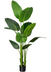K&uuml;nstliche Zimmerpflanze Creativ green "Strelitzia", gr&uuml;n, H:160cm, Kunststoff, Kunstpflanzen, K&uuml;nstliche Zimmerpflanze