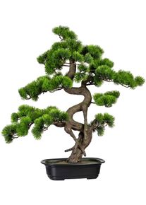 Kunstbonsai Creativ green "Bonsai Kiefer", gr&uuml;n, H:65cm &Oslash;:50cm, Kunststoff, Kunstpflanzen, Kunstbonsai