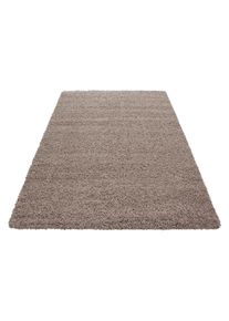 Ayyildiz Hochflorteppich Life Beige Braun/Beige ca. 80x150cm