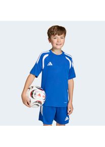 Fu&szlig;balltrikot adidas Performance "TIRO26L JSY Y", Kinder, Gr. 164, royal blau, wei&szlig;, Obermaterial: 100% Polyester, Rundhals, Trikots Fu&szlig;balltrikot