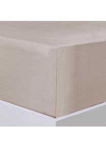 Bettlaken FLORELLA "Edel Satin Spannbetttuch, 100% Baumwolle, Rundumgummi", beige, B:100cm L:200cm, Satin, Obermaterial: 100% Baumwolle CO., Bettlaken, Bettlaken