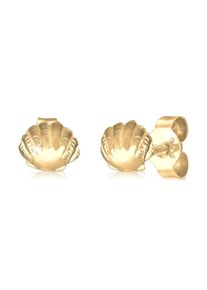 Paar Ohrstecker Elli "Ohrringe Muschel Maritim Meer 925 Silber vergoldet" Gr. 5, gold, Ohrringe, Damen, Silber 925 (Sterlingsilber), Paar Ohrstecker