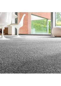 Teppichboden ANDIAMO "Rubinoy, Schlinge, Gesamth&ouml;he 8,5 mm, Luxusklasse LC2", grau (anthrazit), B:400cm L:400cm, Kunstfaser, Teppiche, Teppichboden, Breite 400 cm oder 500 cm, Wohnzimmer, strapazierf&auml;hig & robust