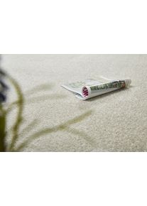 Teppichboden ANDIAMO "Portland, Velours, Gesamth&ouml;he 11 mm, Made in Netherlands", beige (creme), B:400cm L:350cm, Kunstfaser, Teppiche, Teppichboden, Uni Farben, Breite 400 cm, Wohnzimmer, strapazierf&auml;hig, pflegeleicht