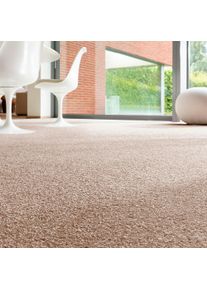 Teppichboden ANDIAMO "Rubinoy, Schlinge, Gesamth&ouml;he 8,5 mm, Luxusklasse LC2", braun (braun,beige), B:400cm L:200cm, Kunstfaser, Teppiche, Teppichboden, Breite 400 cm oder 500 cm, Wohnzimmer, strapazierf&auml;hig & robust