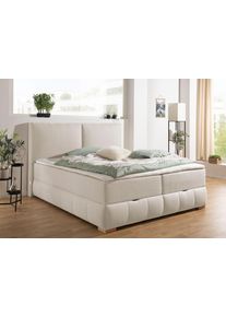 Boxbett OTTO HOME "Wehma mit Kopfteil inkl. Bettkasten", beige, B:210cm L:213cm, Komplettbetten, Boxbett, in H2, H3 & H4 w&auml;hlbar, inklusive Topper