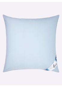 Federkissen OBB Gr. 2, himmelblau, B:40cm L:80cm, 100% Baumwolle, Kopfkissen, Federkissen