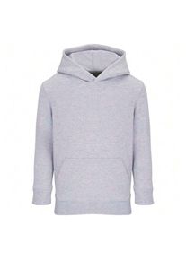 SOLS Kinder/Kinder Condor Hoodie (Grijze Melange)