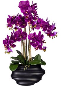 Kunstorchidee Creativ green "Phalaenopsis", lila, H:75cm, Kunststoff, Kunstpflanzen, Kunstorchidee, in Design-Kunststoffvase