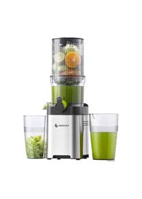 AMZCHEF CE-ZM1902M-SV Slow Juicer