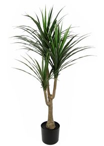 Kunstbaum I.GE.A. "Palme Dracena im Topf k&uuml;nstlich Pflanze Dracenapalme Zimmerpflanzen", gr&uuml;n, B:40cm H:120cm L:40cm, Kunststoff, Kunstpflanzen, Kunstbaum, Zimmerpalme Gr&uuml;npflanzen Kunstpflanze Drachenbaum Pflanze Palme