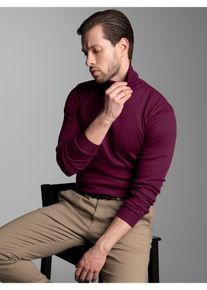 Rollkragenshirt TRIGEMA "TRIGEMA Langarm Ski- und Sport-Rollkragenpullover", Herren, Gr. S, rot (sangria), Feinripp, 100% Baumwolle (Bio-Baumwolle kbA), Basic, normal, ohne Ausschnitt, Shirts Rollkragenshirt