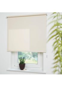 Seitenzugrollo Liedeco "Uni" Gr. 15, beige (cream), B:172cm H:180cm, Polyester, Rollos, Seitenzugrollo, Montage ohne Bohren zum Klemmen mit separatem Klemmtr&auml;ger m&ouml;glich