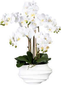 Kunstorchidee Creativ green "Phalaenopsis", wei&szlig;, H:75cm, Kunststoff, Kunstpflanzen, Kunstorchidee, in Design-Kunststoffvase