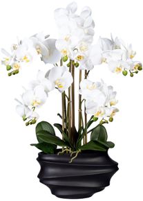 Kunstorchidee Creativ green "Phalaenopsis", wei&szlig;, H:75cm, Kunststoff, Kunstpflanzen, Kunstorchidee, in Design-Kunststoffvase
