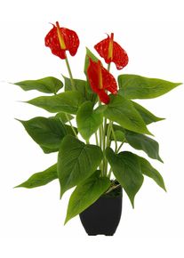 Kunstblume I.GE.A. "Anthuriumpflanze", rot, B:20cm H:42cm L:20cm, Obermaterial: 80% Polyester, 20% Kunststoff, Kunstpflanzen, Kunstblume, Anthurien Pflanze im Topf Anthurieexotisch Flamingopflanze