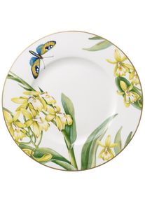 Villeroy & Boch Fr&uuml;hst&uuml;cksteller VILLEROY & BOCH "Fr&uuml;hst&uuml;cksteller Amazonia Anmut &oslash; 22,5 cm bunt", bunt, Speiseteller, Fr&uuml;hst&uuml;cksteller