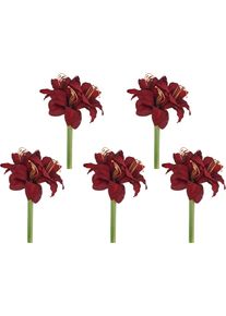 Kunstblume Creativ green "Amaryllis", rubin, H:31cm, Polyester, Kunstpflanzen, Kunstblume, mit &uuml;ppiger Bl&uuml;tenpracht