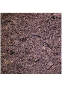 LUCKY REPTILE Tortoise Bedding 20 l