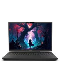 Captiva Gaming-Notebook "Ultimate Gaming I81-605", schwarz, 64 GB RAM 1.000 GB SSD, Core i9, ohne Betriebssystem, Notebooks, Gaming-Notebook